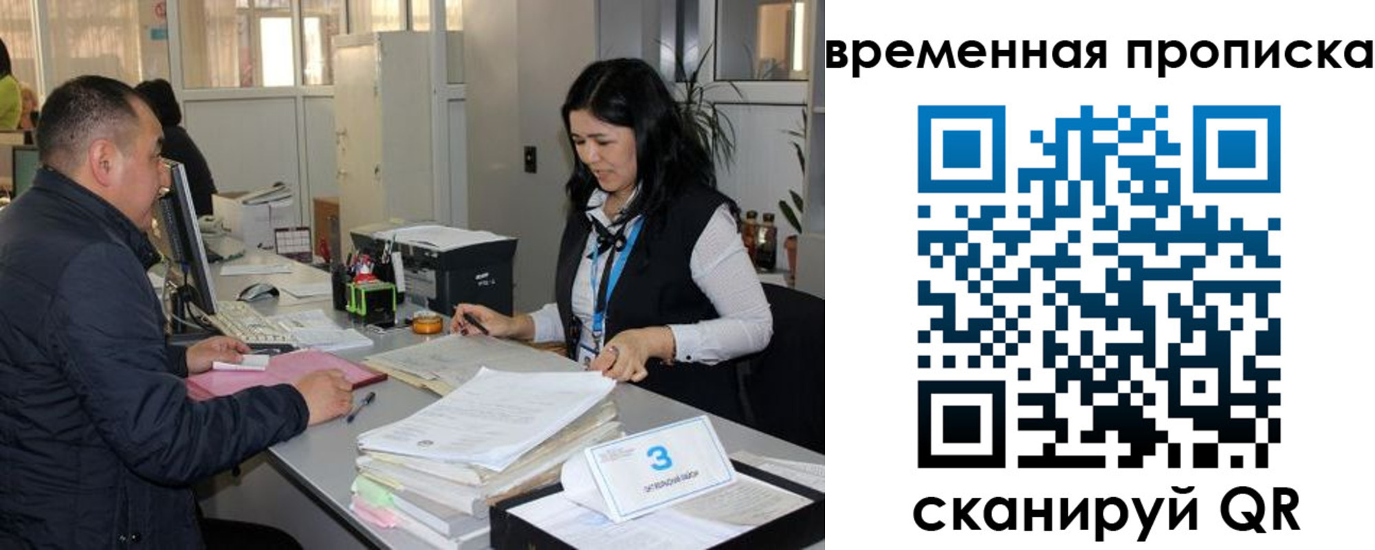 временная регистрация поиск в Шилке